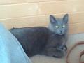 Smokey2